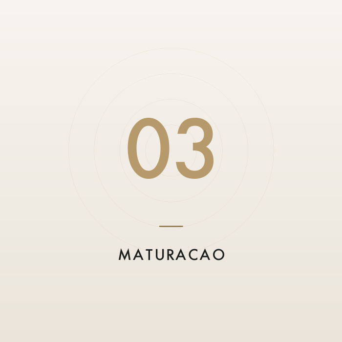 03 — Matura&ccedil;&atilde;o e envase
